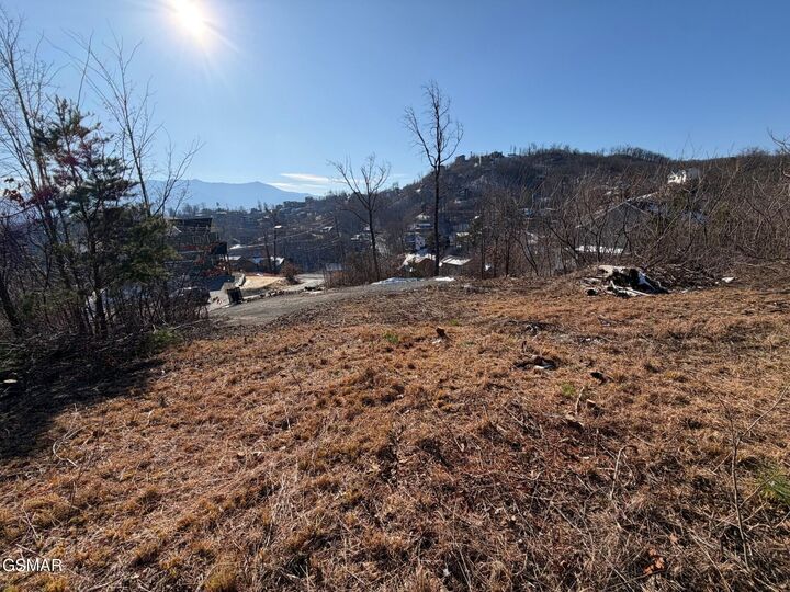 Property Photo:  909 N Woodland Drive  TN 37738 