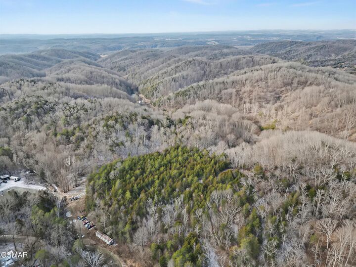 Property Photo:  Tbd McAmis Hollow Road  TN 37821 