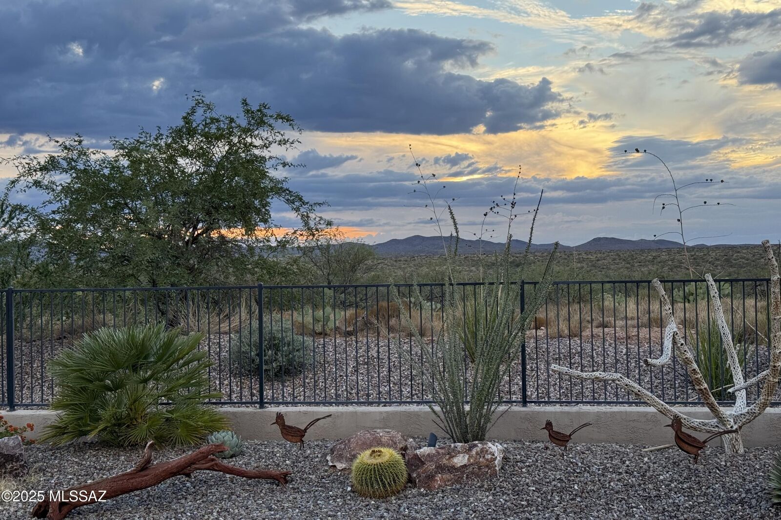 Property Photo:  32570 S Cattle Trail  AZ 85623 