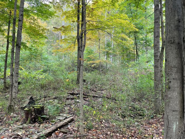 Property Photo:  2491 Baughman Cemetary Road  PA 16686 