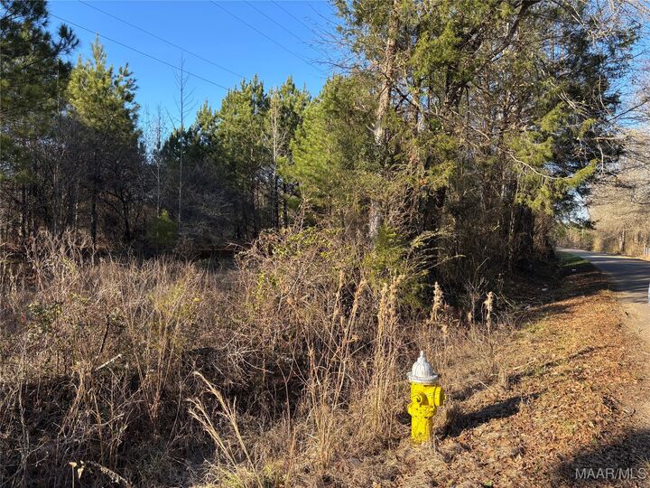Property Photo:  0 Old Hayneville Road  AL 36108 