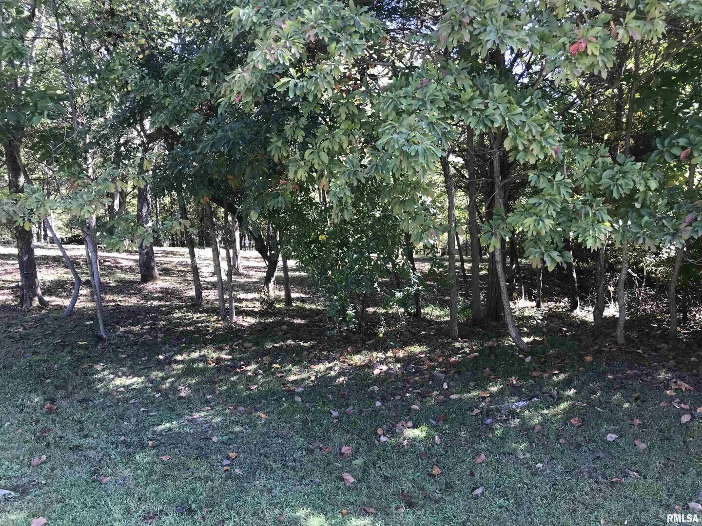 Property Photo:  Lot 1031 John Able Drive  IL 62939 