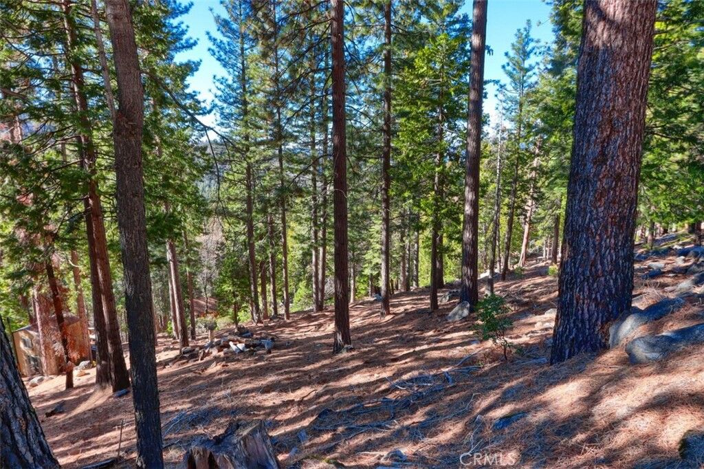 Property Photo:  7349 & 7473 Yosemite Park Way  CA 95389 
