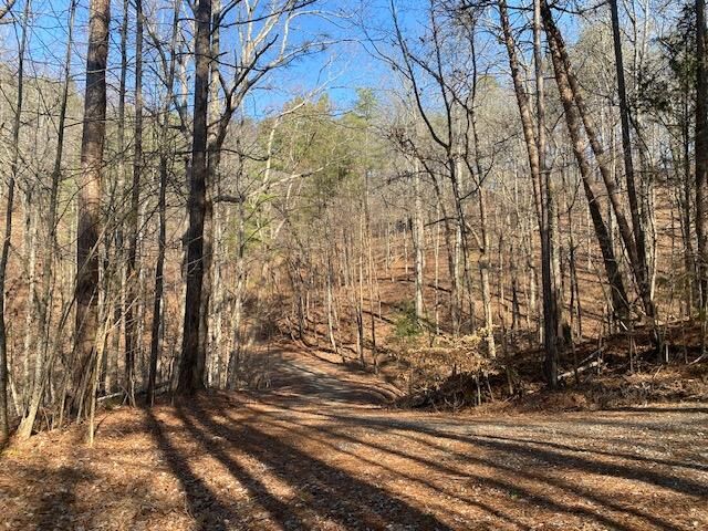 Property Photo:  571-572 Galaxy Way  GA 30734 