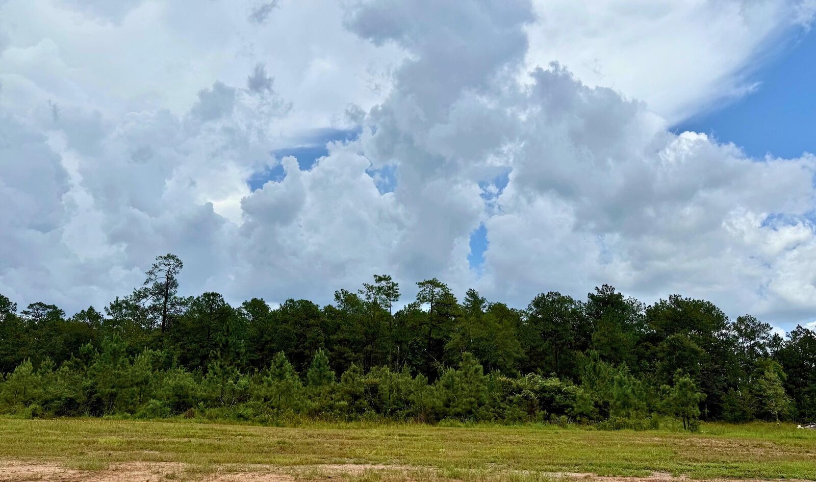 Property Photo:  13160 Blackberry Dr  TX 77657 