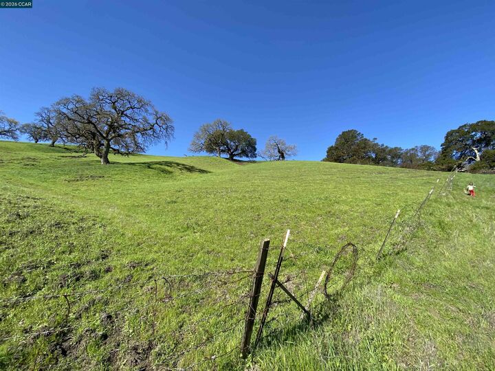 Property Photo:  2490 Tassajara Ln  CA 94526 