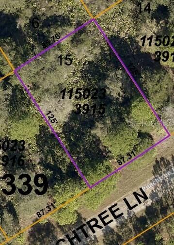Property Photo: Lot 15 Peachtree Lane FL 34288