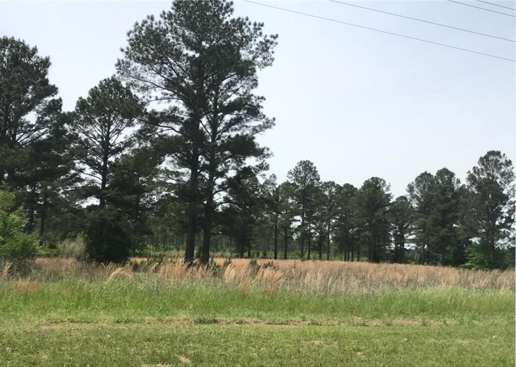 Property Photo:  985 Hwy 32W  GA 31763 