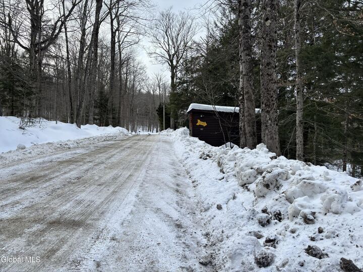 Property Photo: L 25 Sand Point Road NY 12032