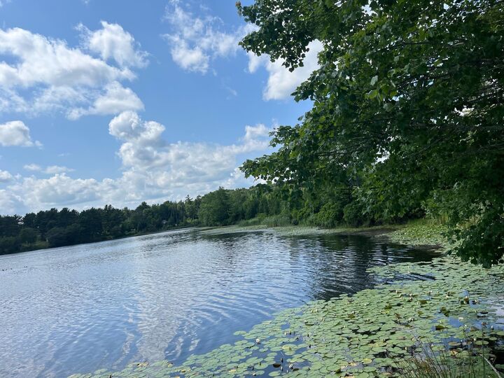 Lot 8 King Fisher Lane — photo 1