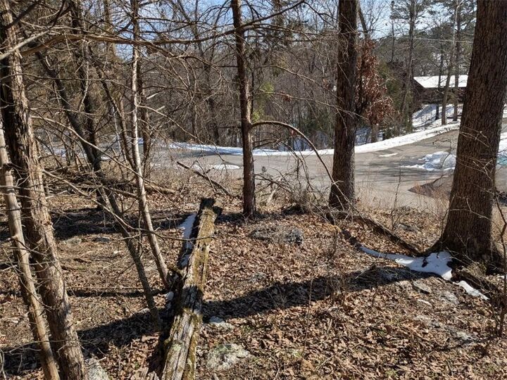 Property Photo:  Tbd Merion Drive  AR 72631 