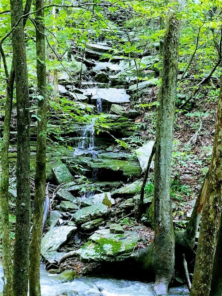 Property Photo:  16902 Bethlehem Road  AR 72959 