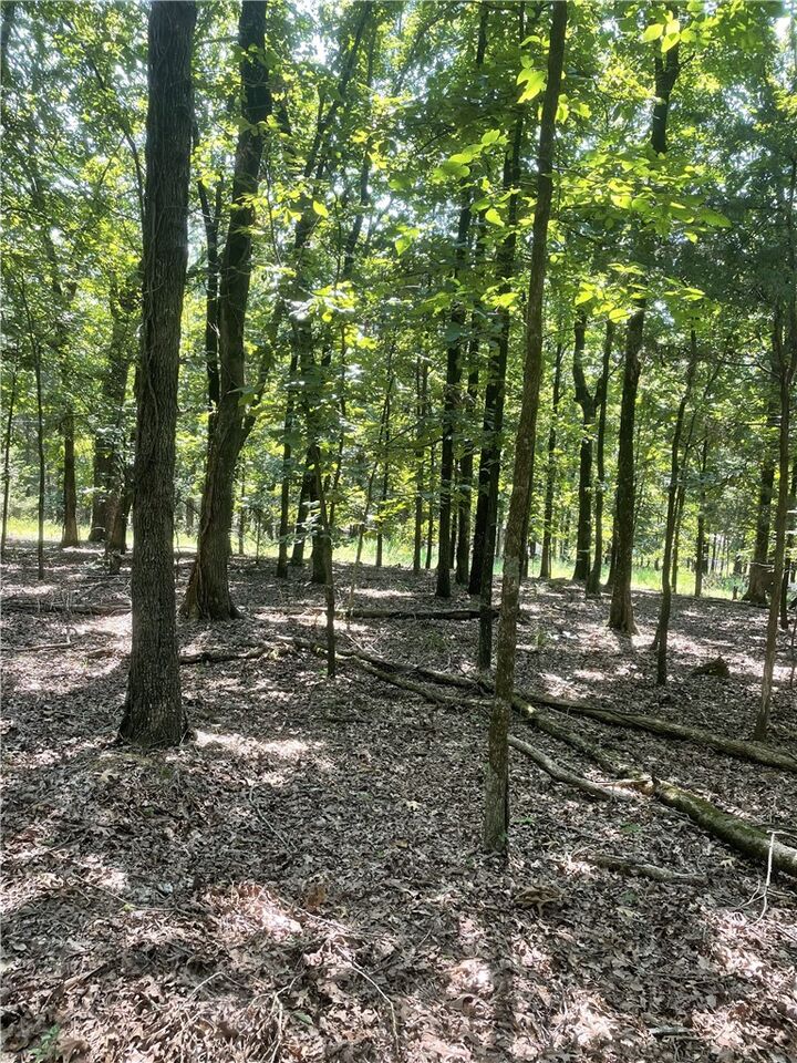 Property Photo:  312 Cr 3222 Four Ac  AR 72830 