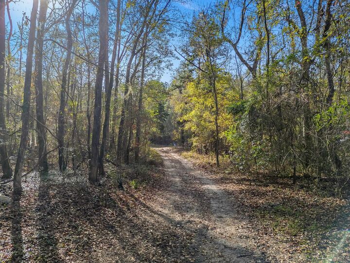 Property Photo:  15196 Casland Drive  FL 32309 