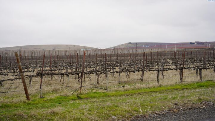 Property Photo:  Nka Knox Rd.  WA 99320 