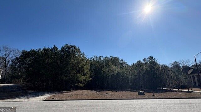 Property Photo:  4357 Blue Ridge Drive  GA 30135 