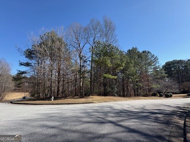 Property Photo:  4440 Bronte Lane  GA 30135 