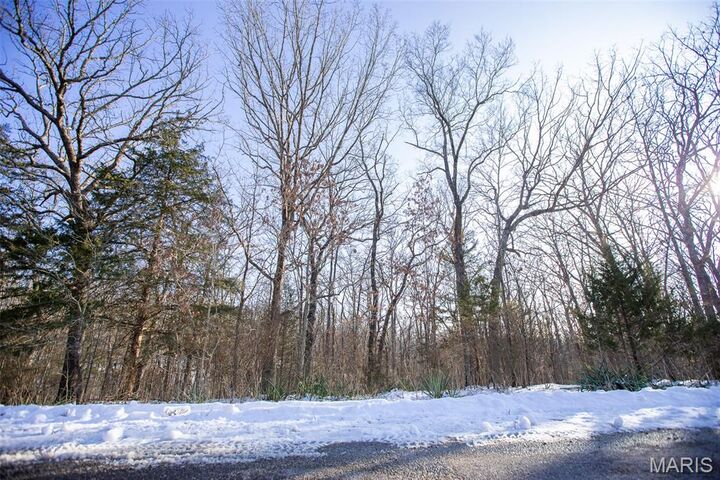 Property Photo:  173 Hickory Drive  MO 65453 