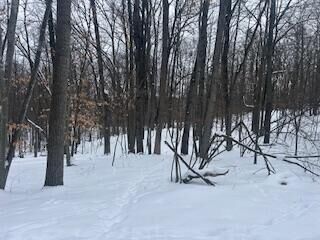 Property Photo:  9980 Red Deer Court  MI 49346 