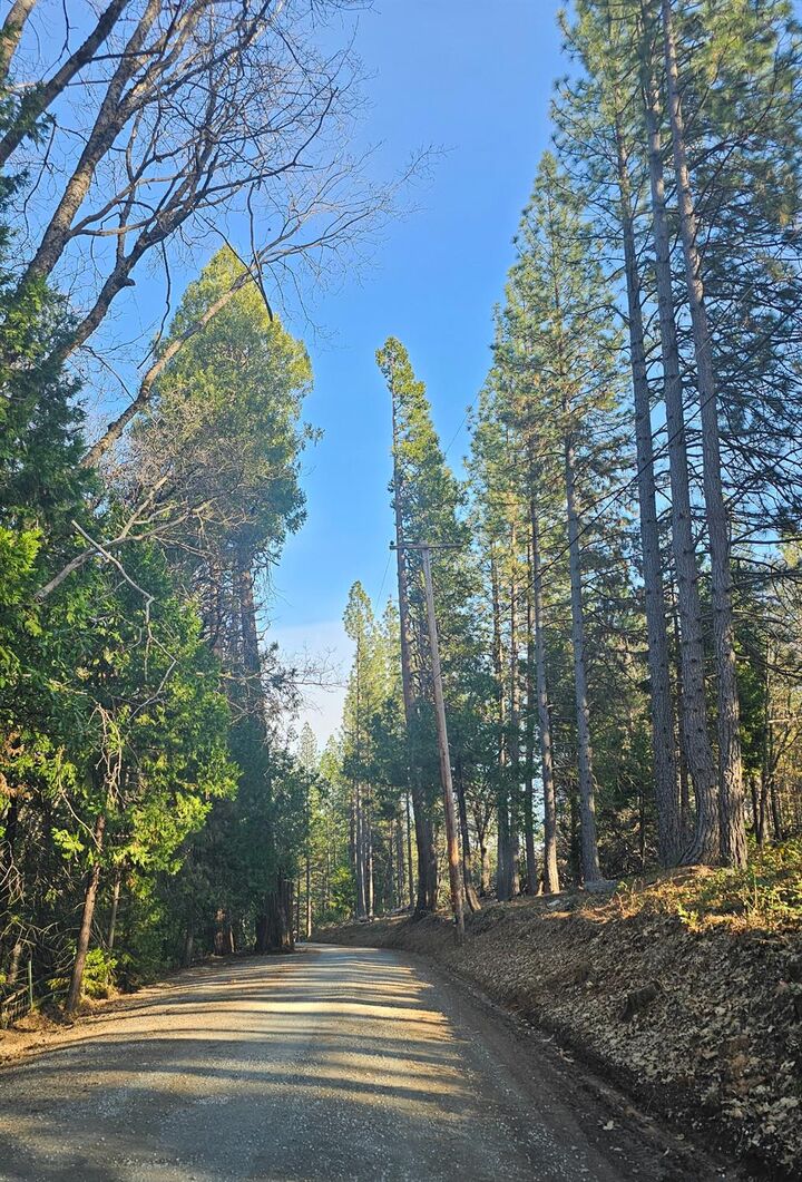 Property Photo:  2801 Harkness Street  CA 95634 