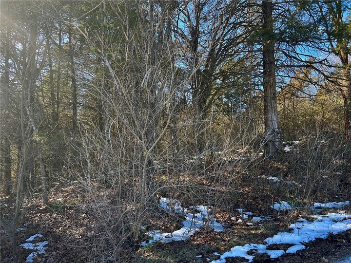 Property Photo:  Tbd Lake View Street  AR 72644 