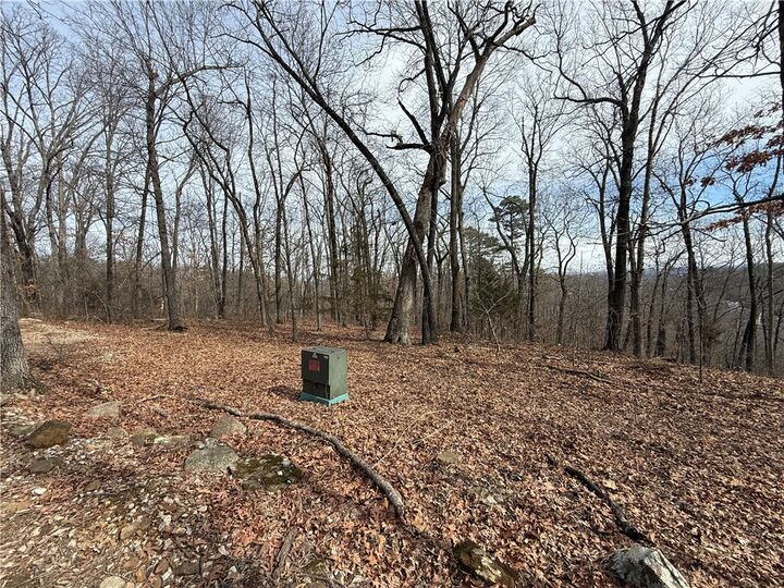 Property Photo: Tract 4 Cardinal Ridge Road AR 72632