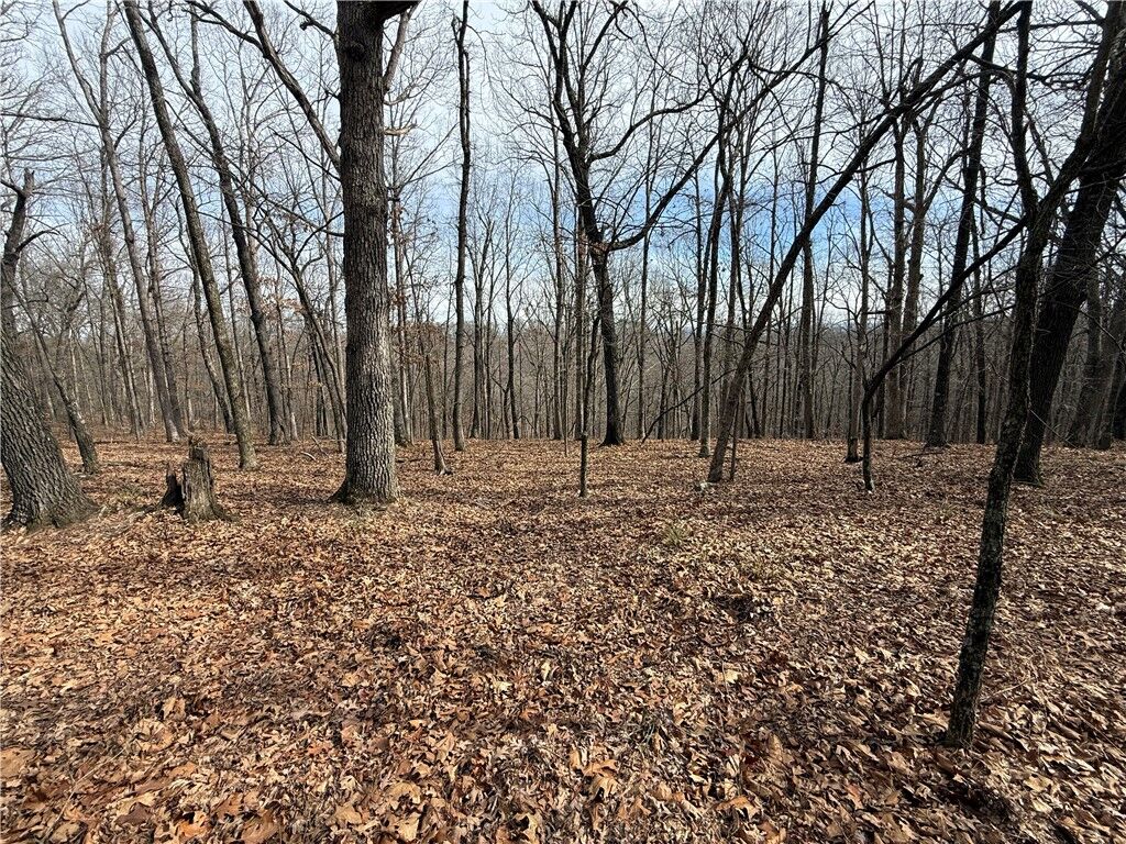 Property Photo:  Tract 2 & 3 Cardinal Ridge Road  AR 72632 