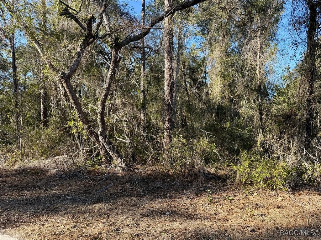 Property Photo:  3350 E Kennedy Street  FL 34453 