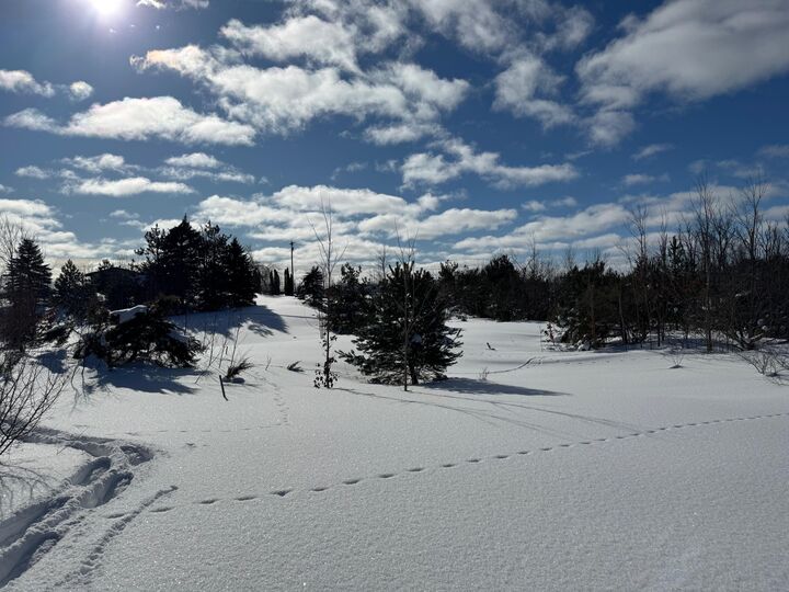 Property Photo:  V/L 2.80 A Morgan Road  MI 49735 