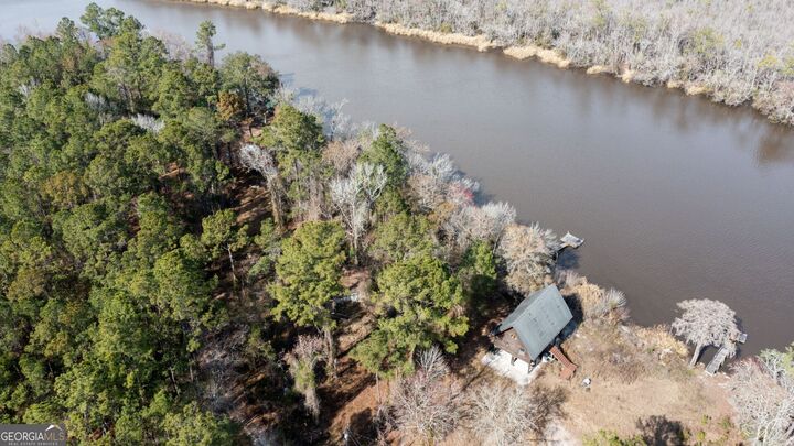 Property Photo:  V/L Manning Lane  GA 31537 