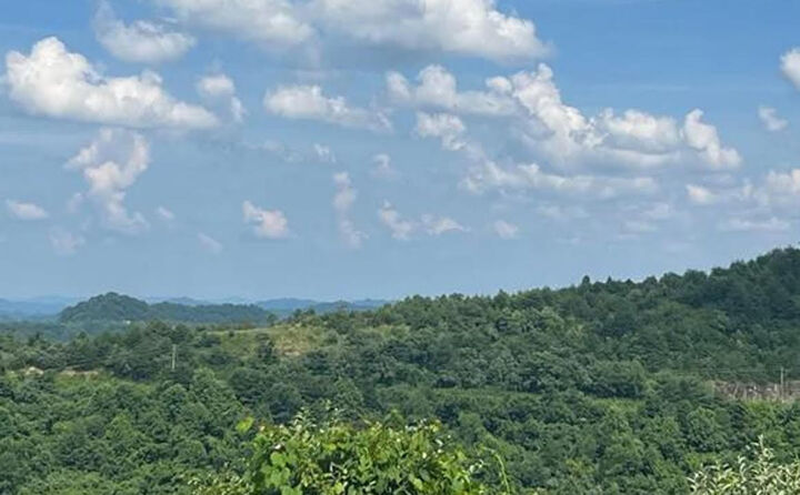 Property Photo: 0 Sugar Camp Rd. KY 41560
