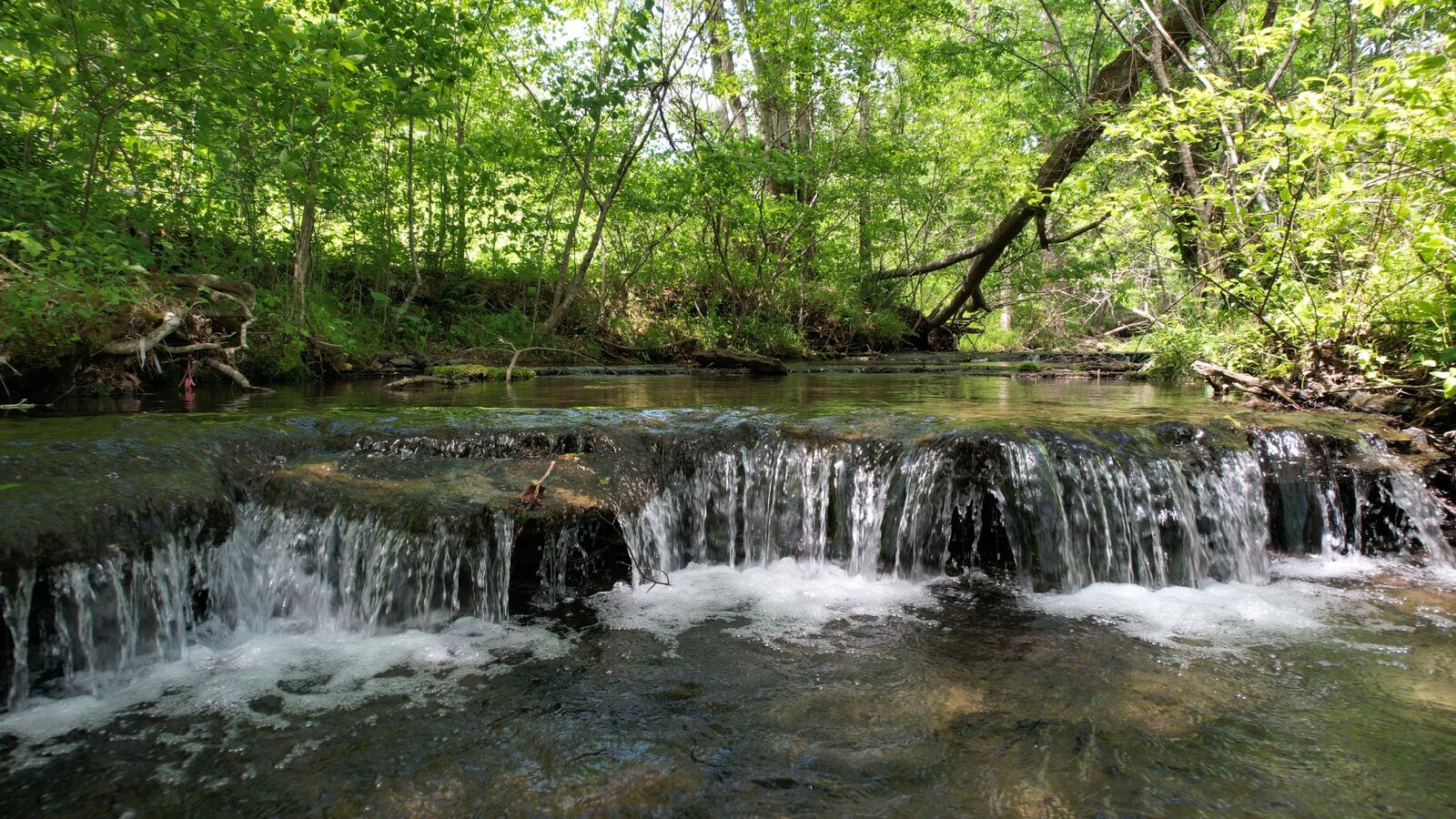 Property Photo:  3795 Wayland Springs Rd  TN 38463 