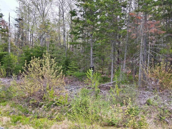 Property Photo:  Lot 23-7 Whiskey Way  NS B0M 1Z0 
