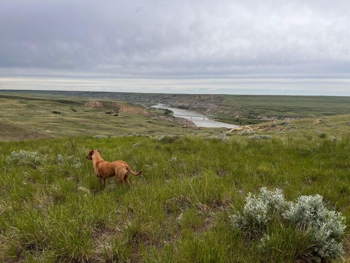 NE, NW 27 20 1 W4, All Sec 28 20 1 W4, SE 29&Ampse 34 — photo 1