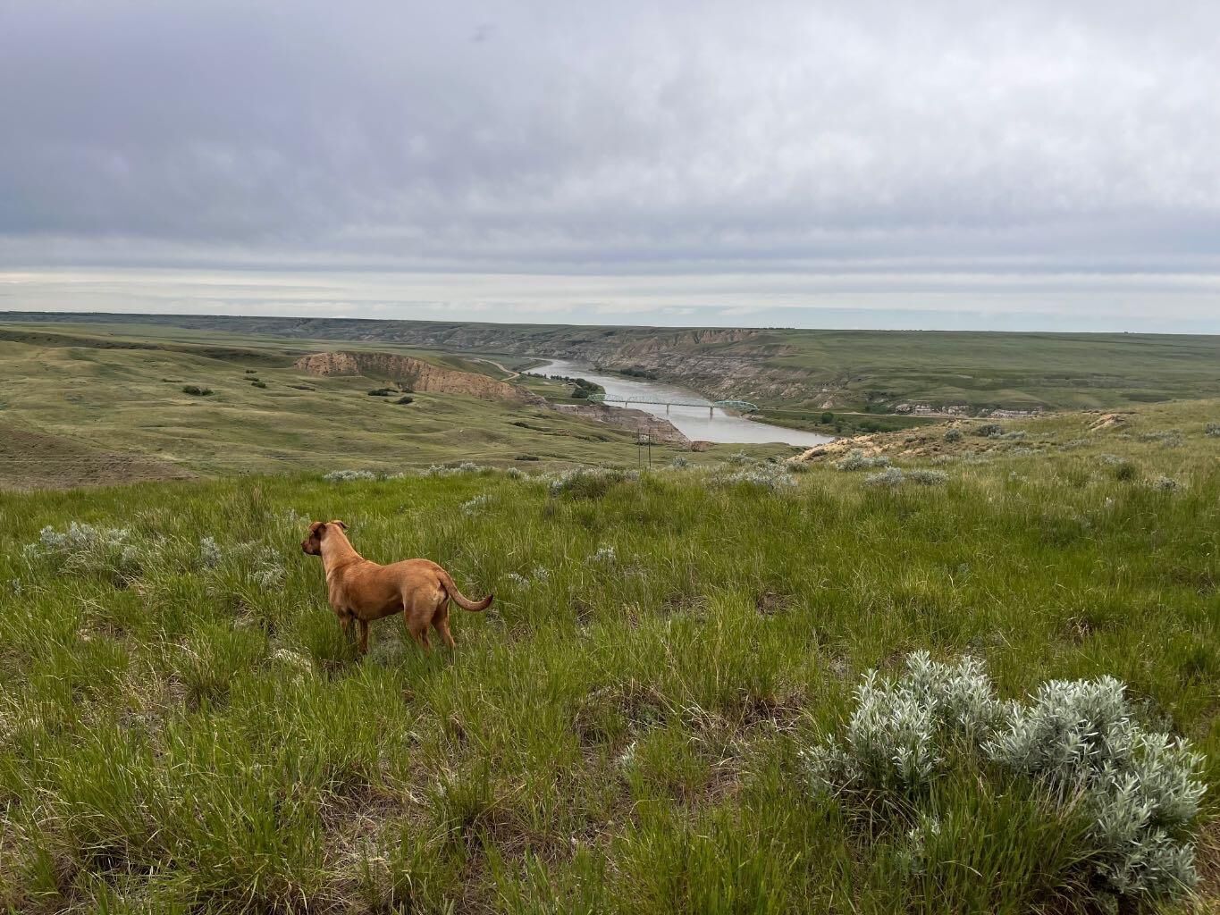 Property Photo: NE, NW 27 20 1 W4, All Sec 28 20 1 W4, SE 29&Ampse 34 AB T0J 0H0