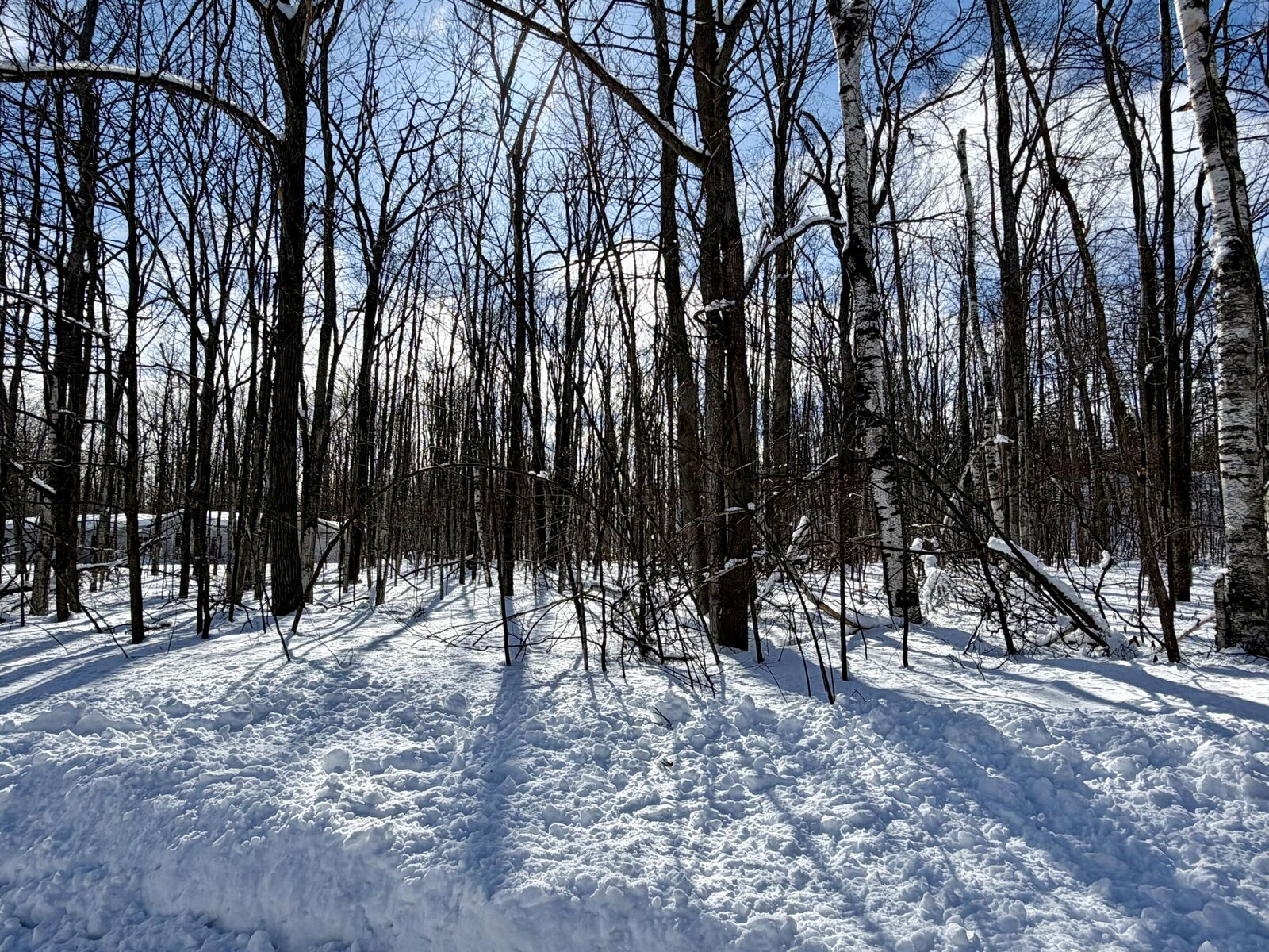 Property Photo:  L 683-684 Cedarhurst Drive  MI 49721 