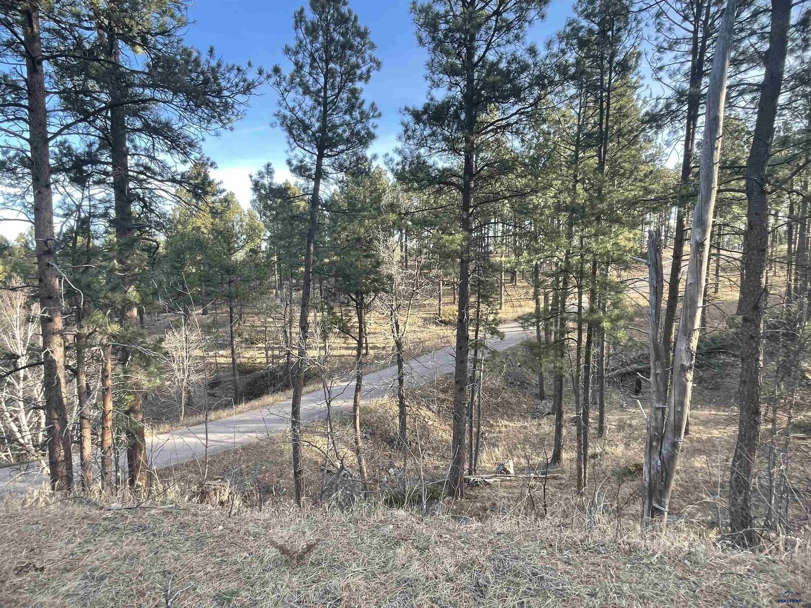 Property Photo:  13636 Quartz Canyon Ln  SD 57702 