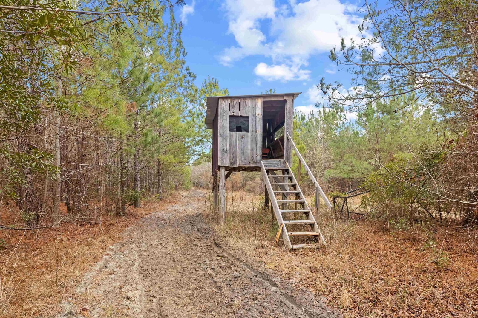 Property Photo: Tbd 183 Acres Blakely Rd. SC 29590