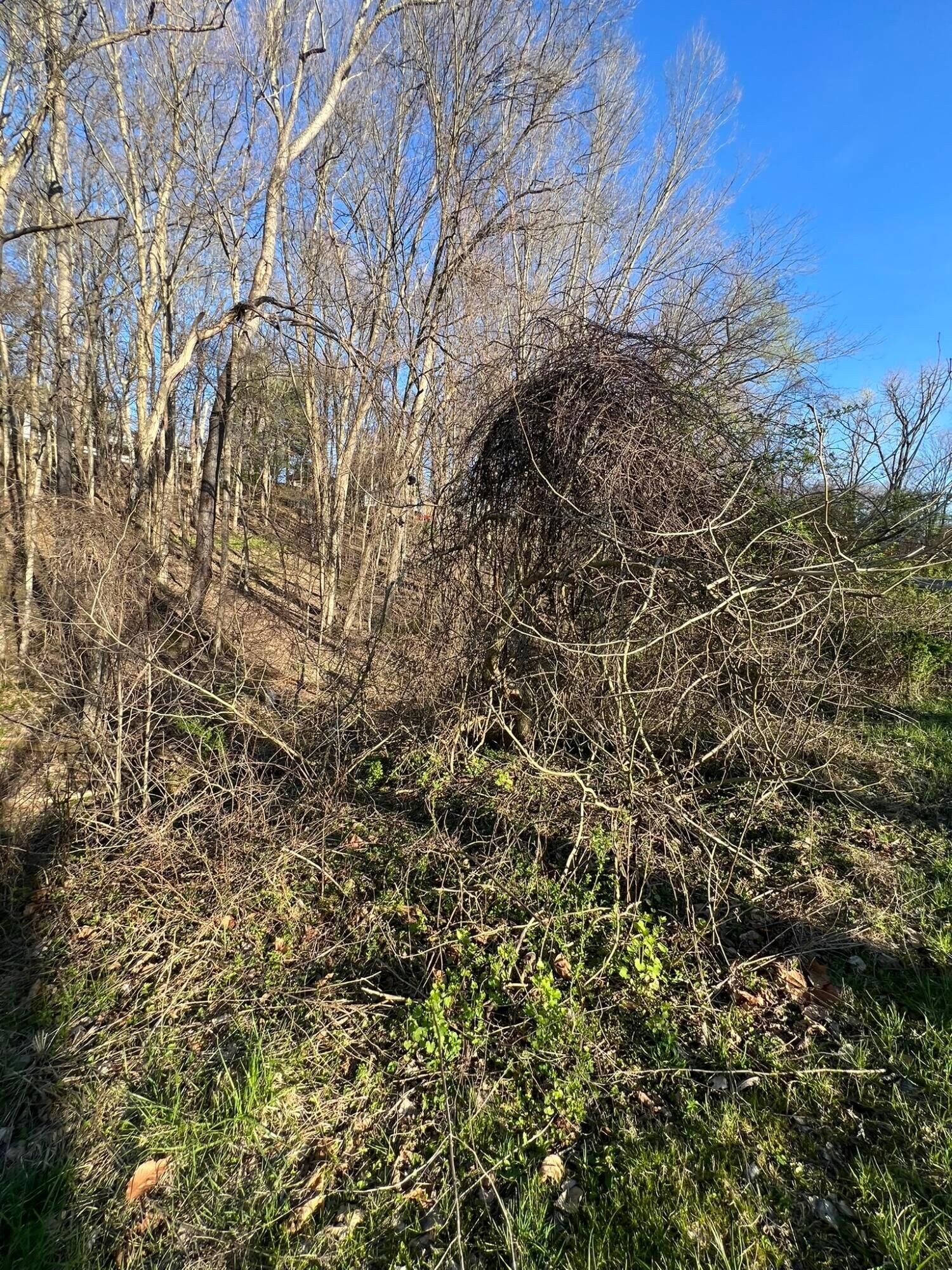 Property Photo: 940 McIntosh Drive OH 43055