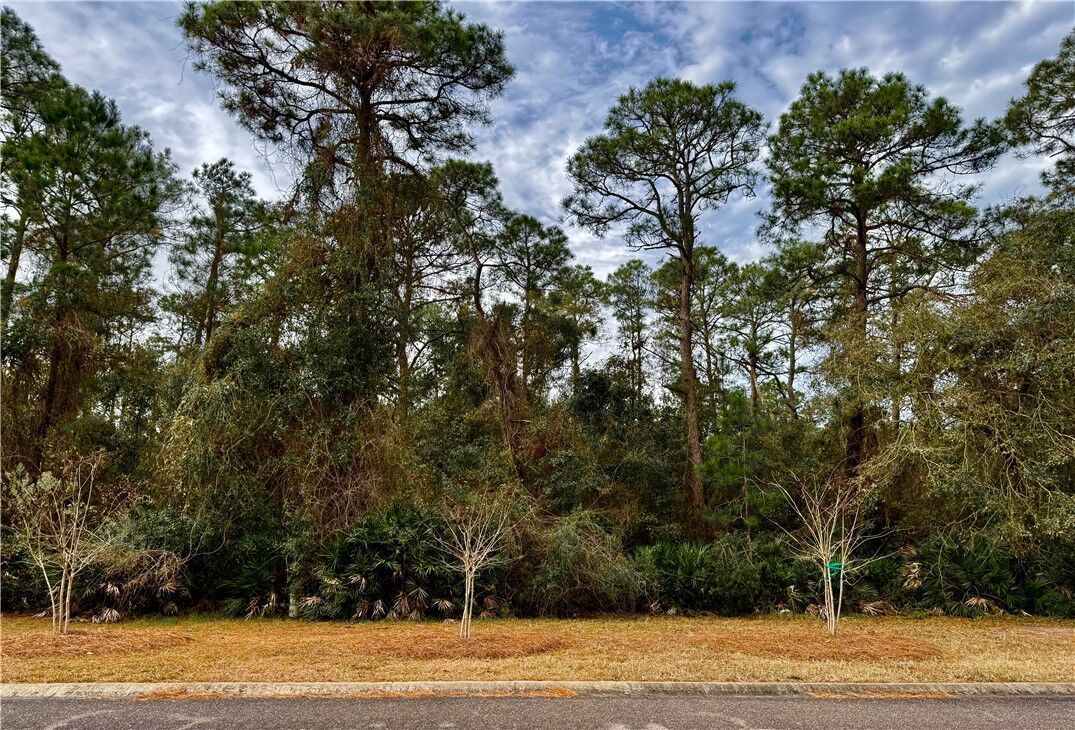 Property Photo: 306 Clubhouse Circle GA 31558