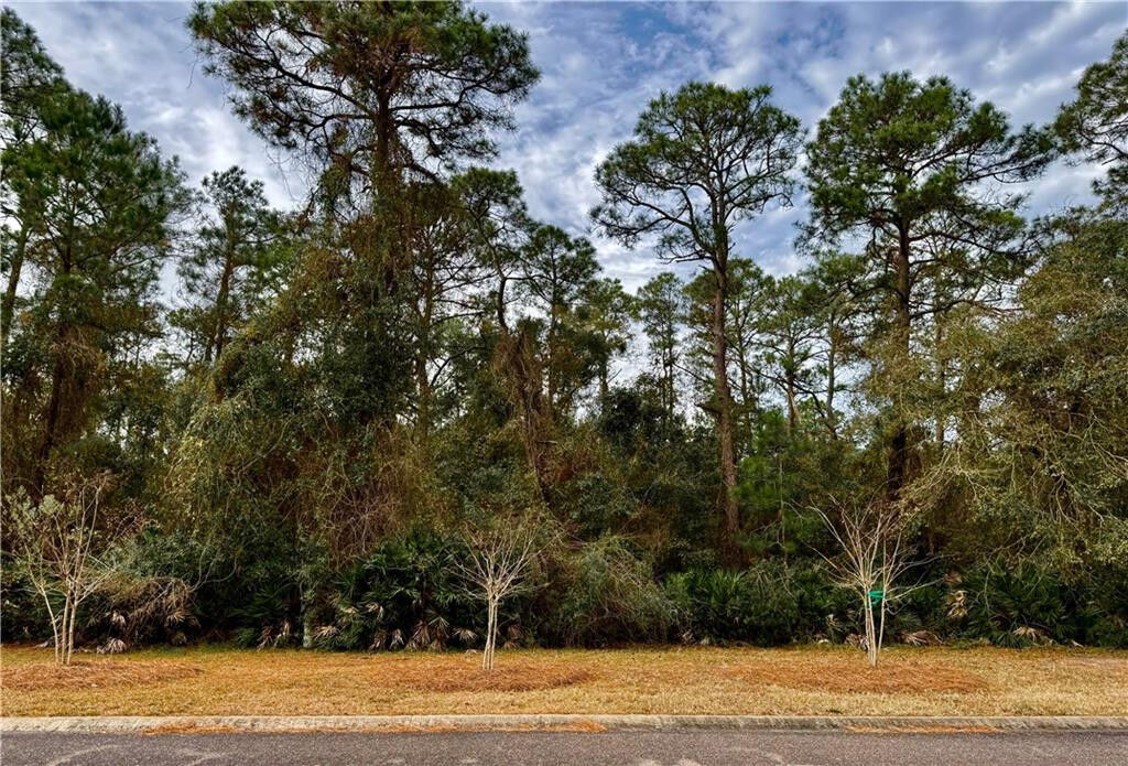 Property Photo:  306 Clubhouse Circle  GA 31558 