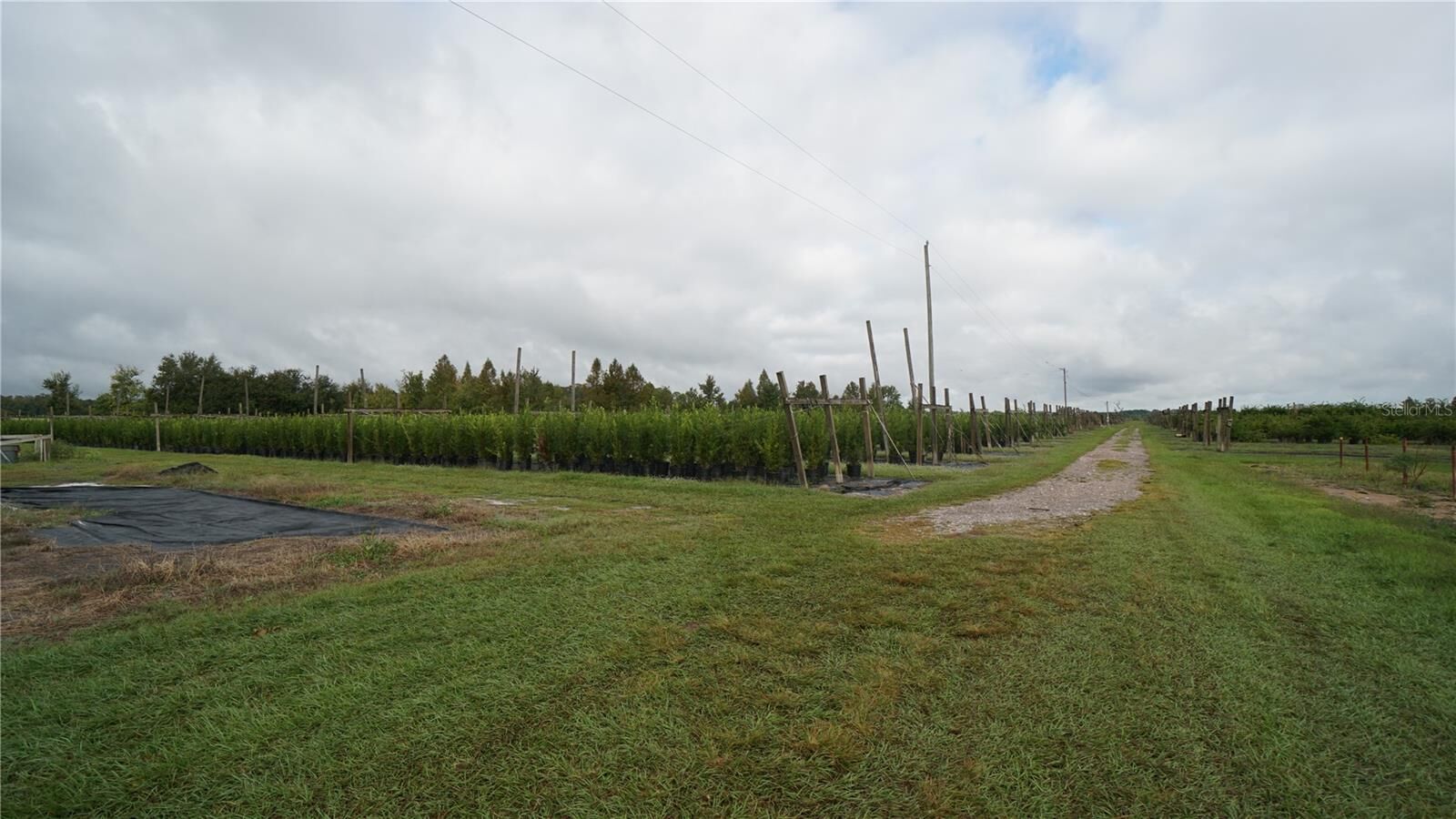 Property Photo:  Douglas Road  FL 34736 