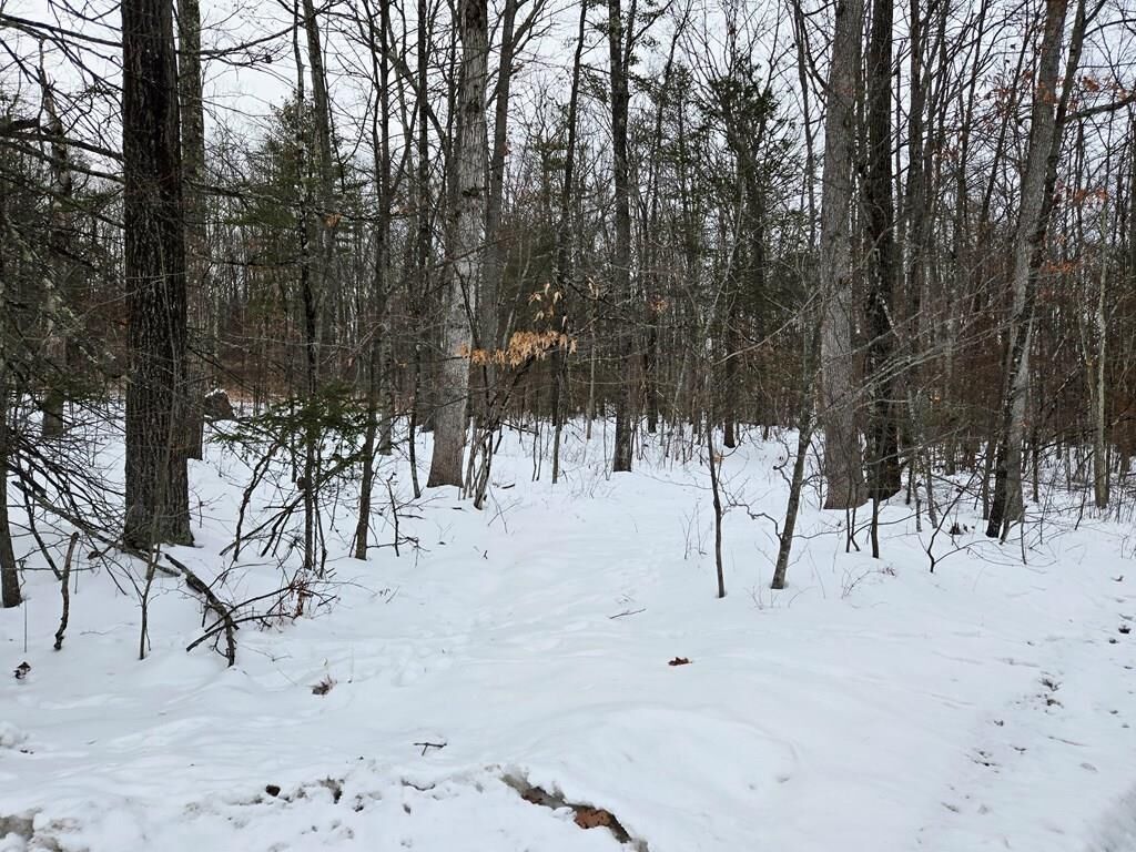 Property Photo:  863 Route 409  PA 18853 