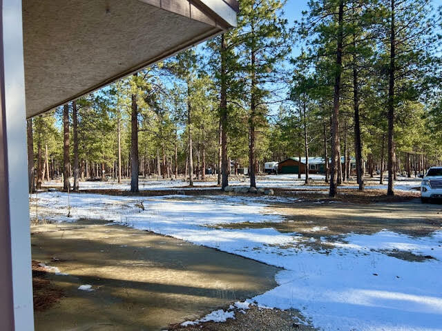 Property Photo:  823 Little Lion Road  MT 59840 