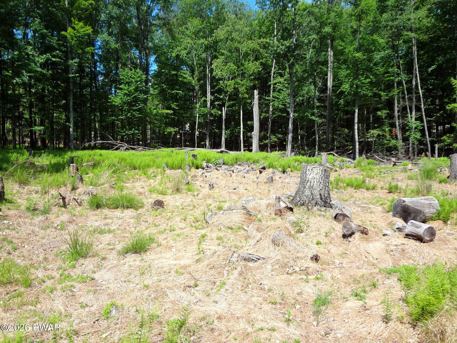 Property Photo:  10 &Amp 11dr South Briar Hill &Amp W. Lakeside Drive  PA 18438 