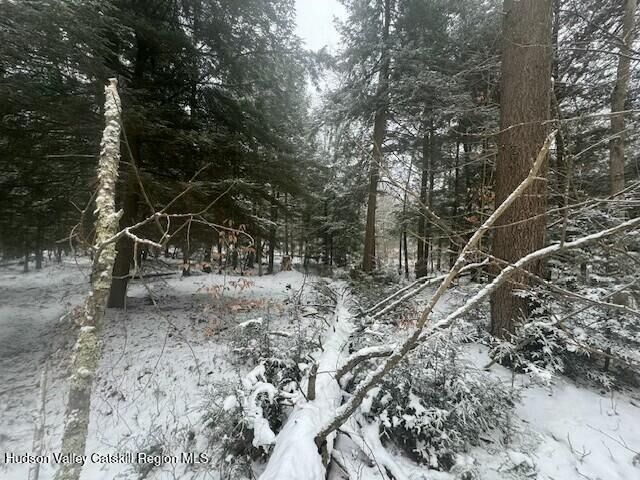 Property Photo:  Tbd County Route 84  NY 13706 