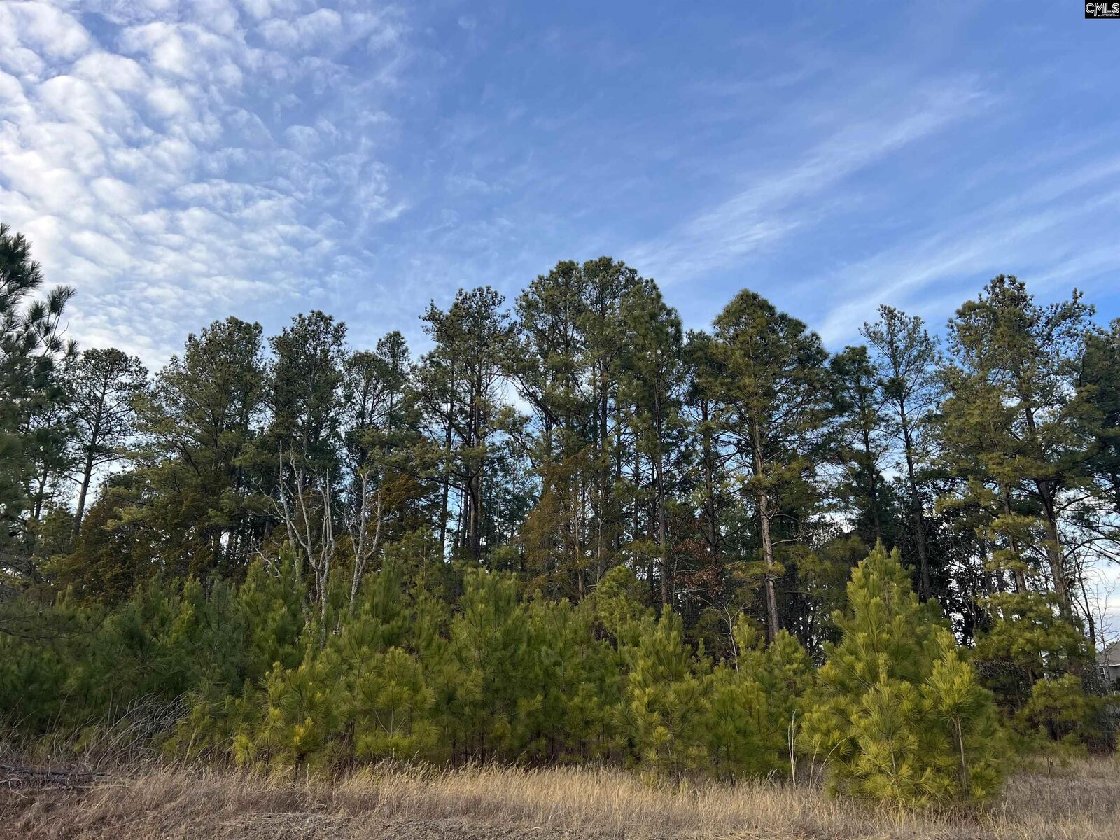 Property Photo: Bluefield SC 29073