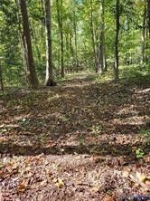 Property Photo:  0 Courthouse Road  VA 23841 