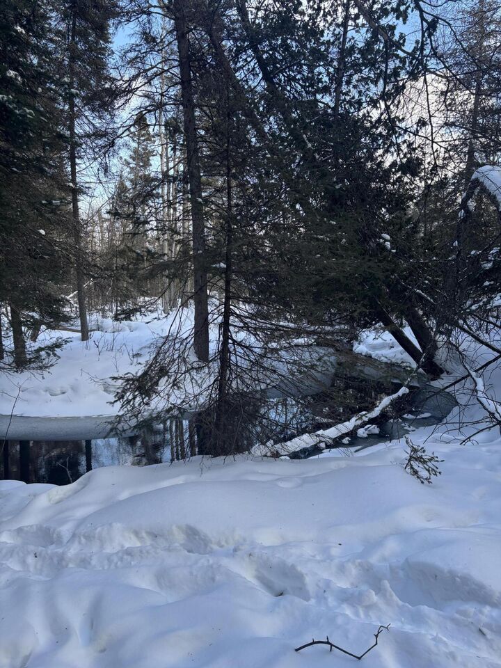 Property Photo: Tbd S Flower Bay Rd MI 49719