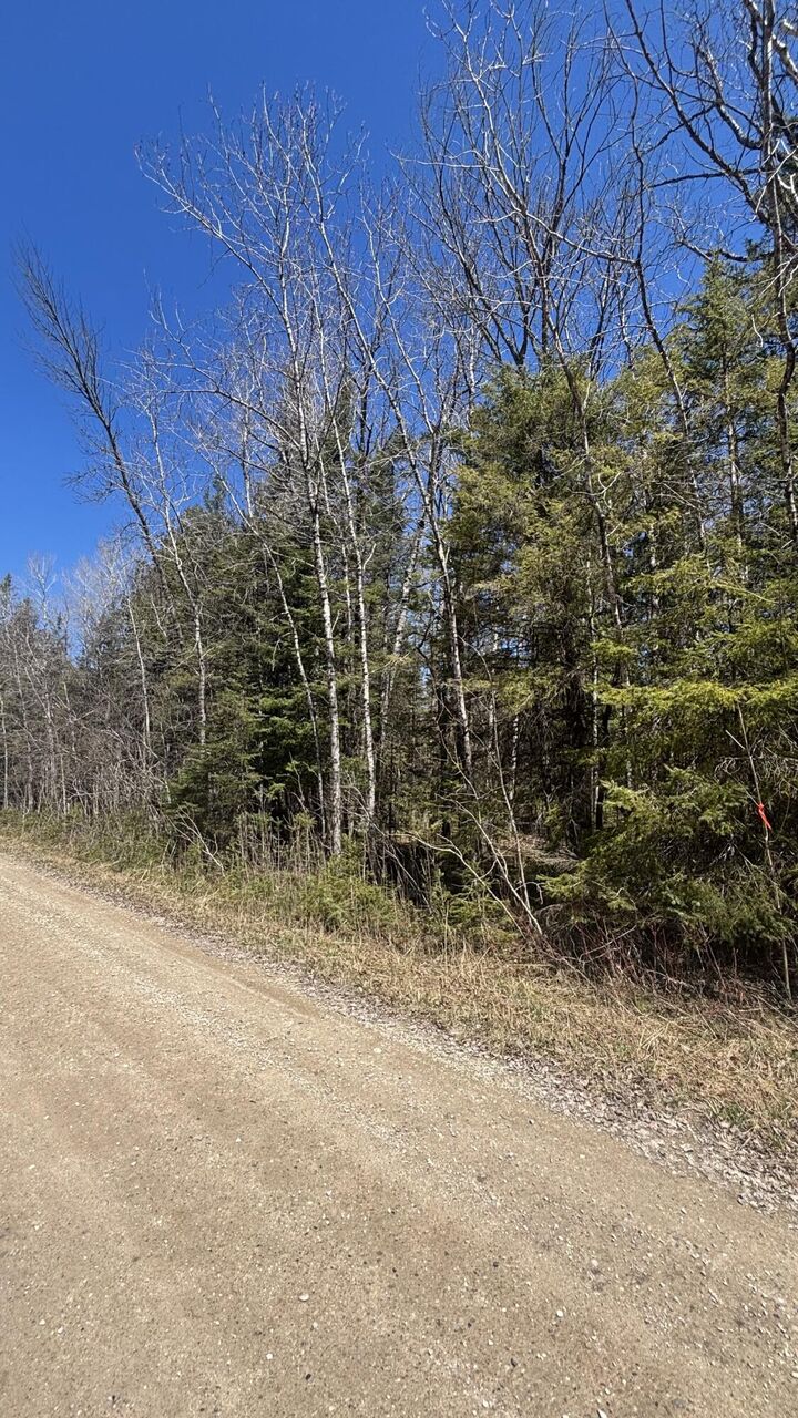 Property Photo: Tbd S Flower Bay Rd MI 49719